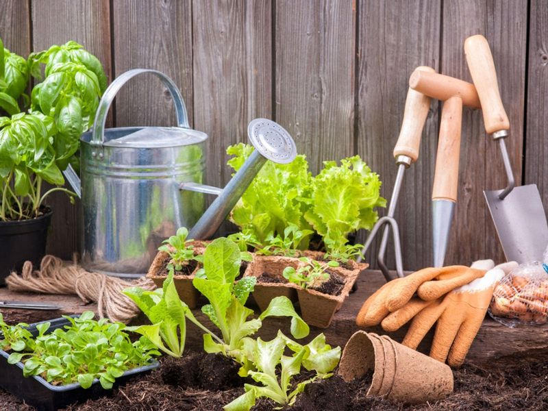 Checking Garden Tools