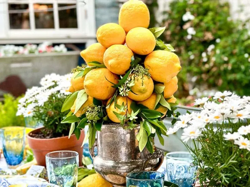 Citrus Splash Centerpiece