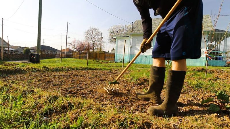 Cleaning Garden Beds