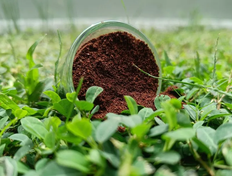 Coffee Grounds for Pests