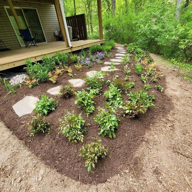 Conservation Landscaping