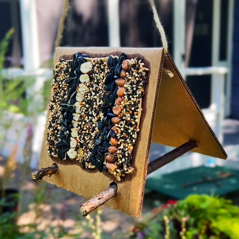 DIY Bird Feeder