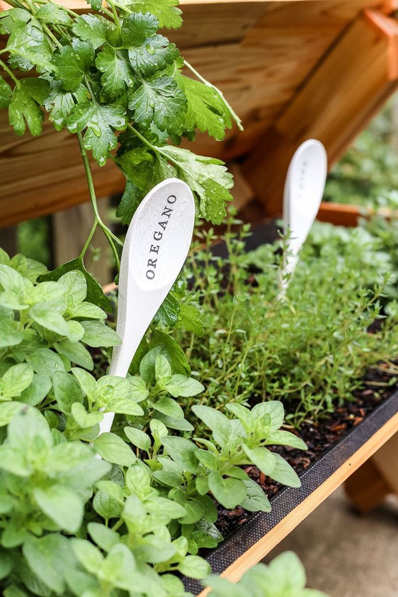 DIY Plant Markers