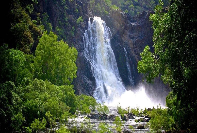 Daintree Rainforest, Australia