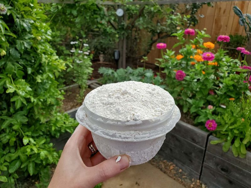 Diatomaceous Earth