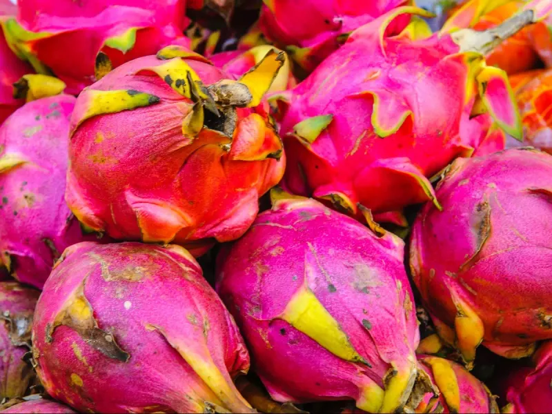 Dragon Fruit