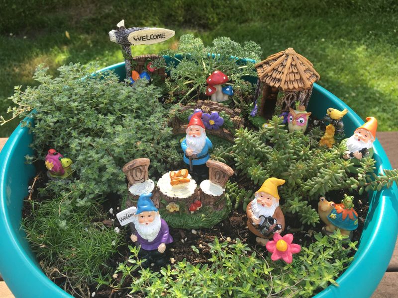 Fairy Garden Design