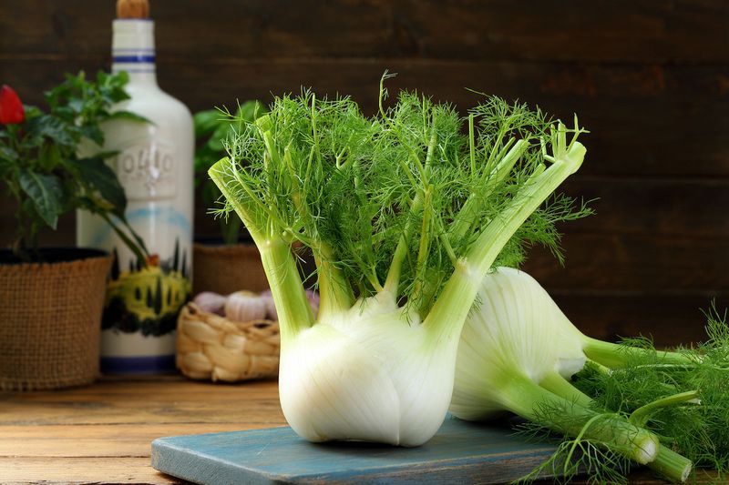 Fennel