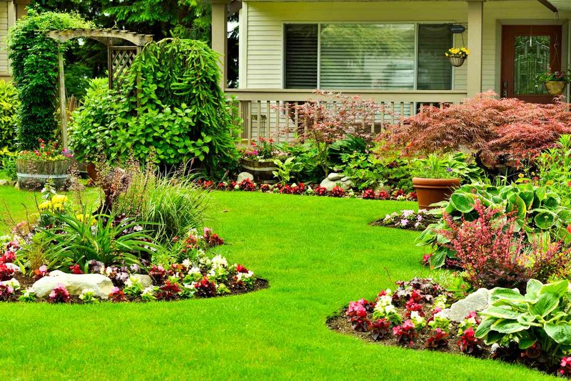 Front Yard Garden