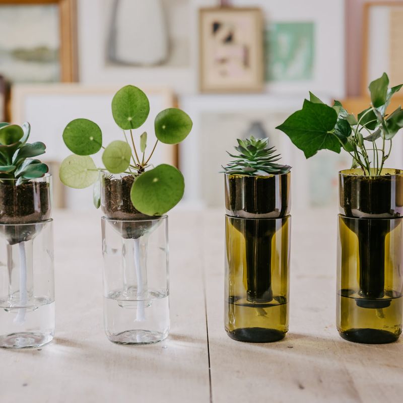 Glass Bottle Self-Watering