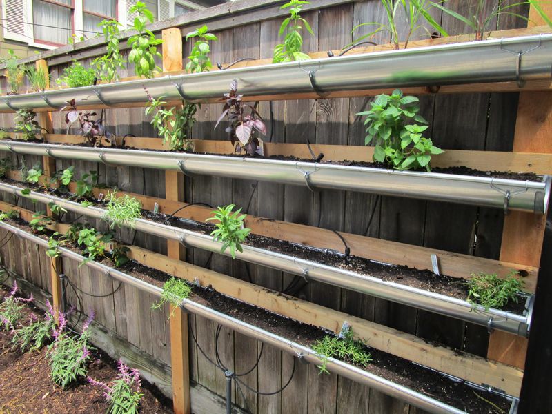 Gutter Vertical Garden