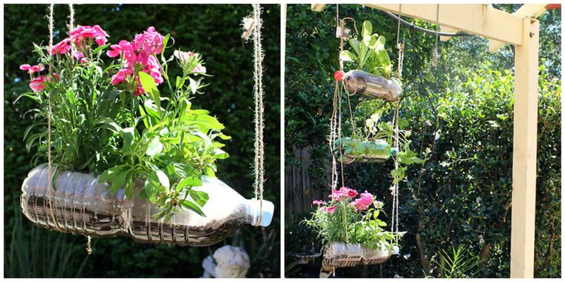 Hanging Bottle Garden