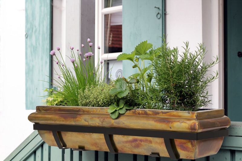 Hanging Window Planters