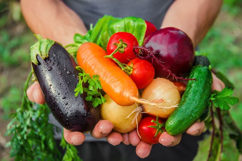 Harvesting Homegrown Vegetables