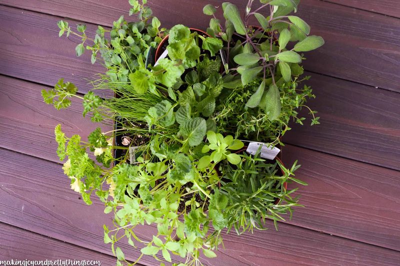 Herbs Assortment