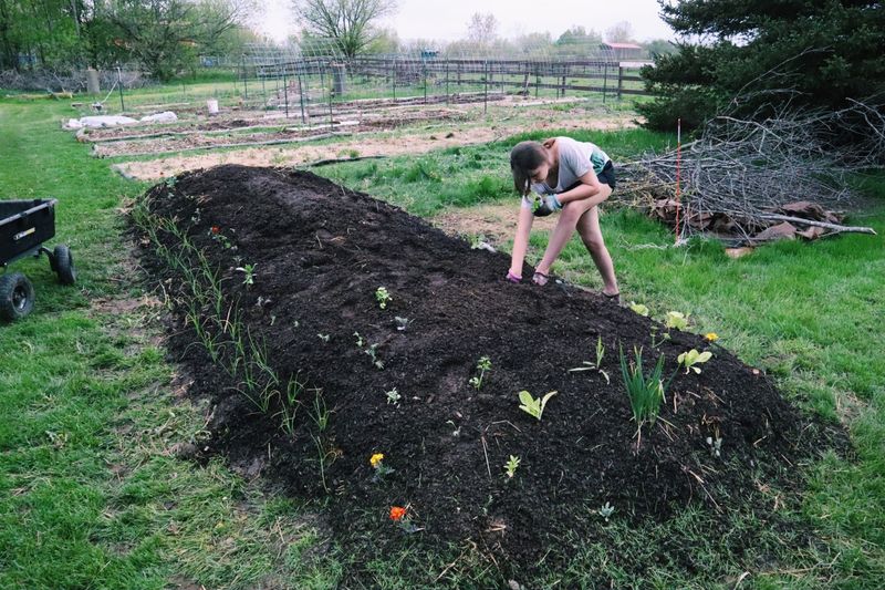 Hugelkultur Beds