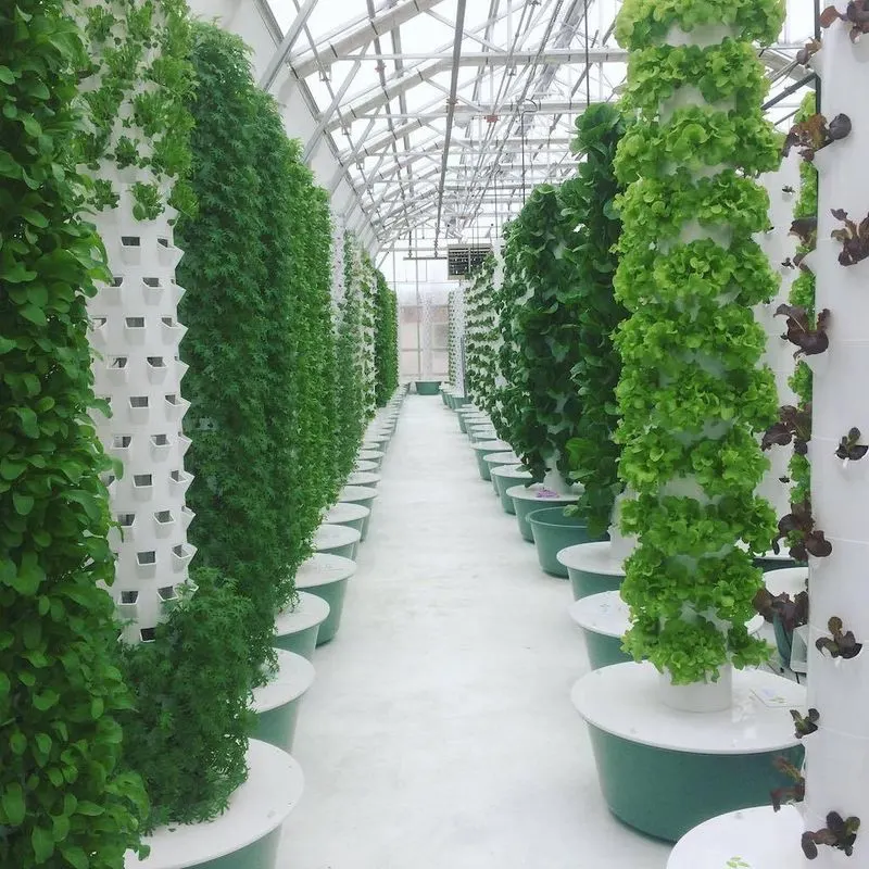 Hydroponic Towers