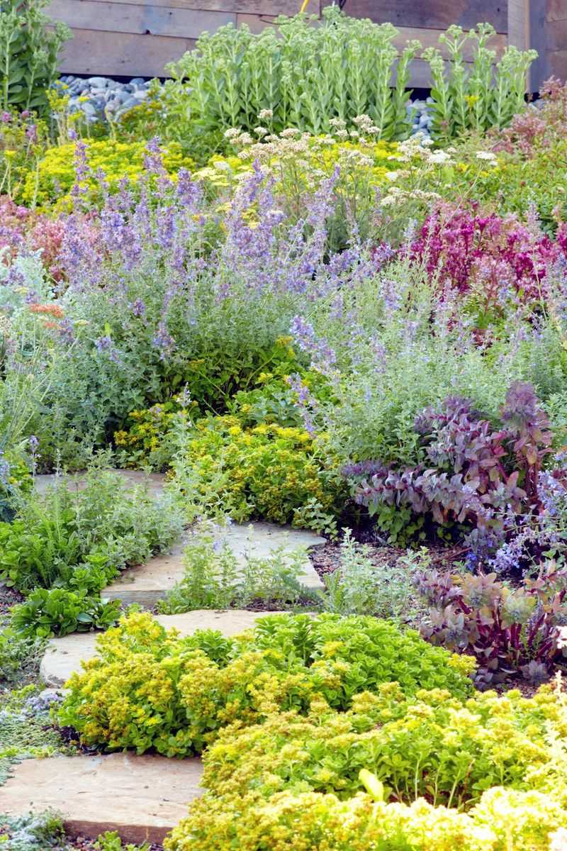 Incorporate Perennial Ground Covers