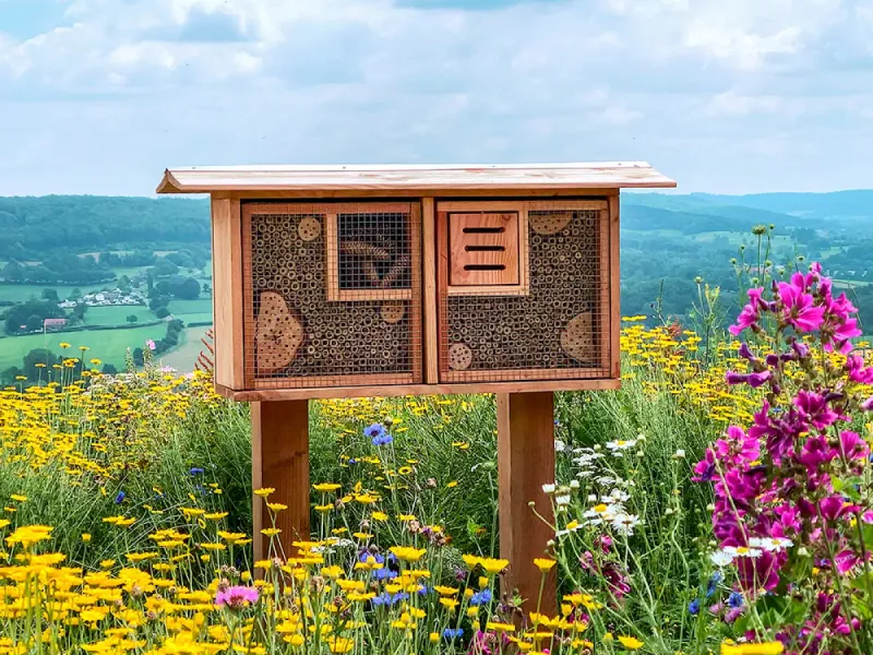 Insect Hotels