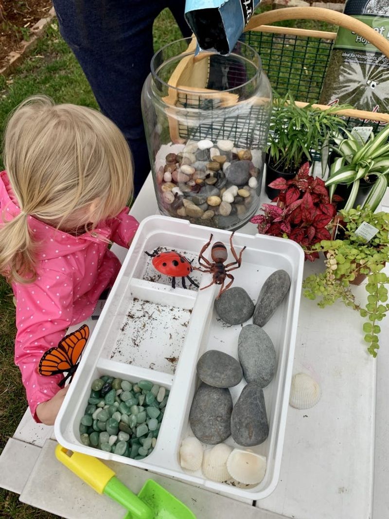 Insect Observation Station