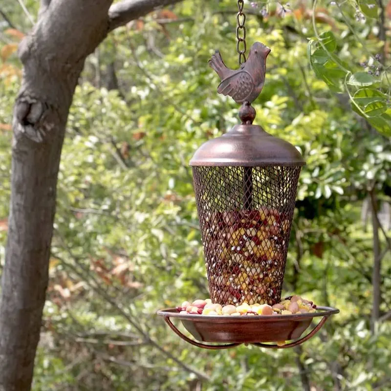 Install Bird Feeders