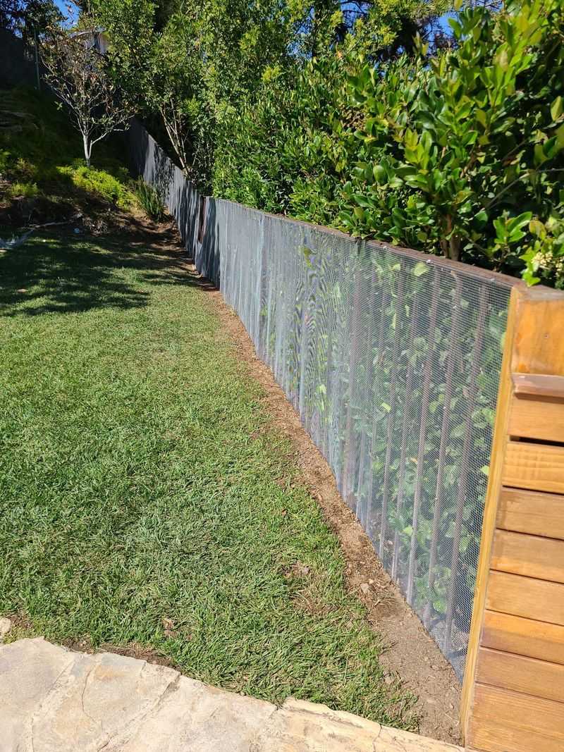 Install Snake-Proof Fencing