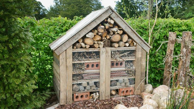 Install a Bug Hotel