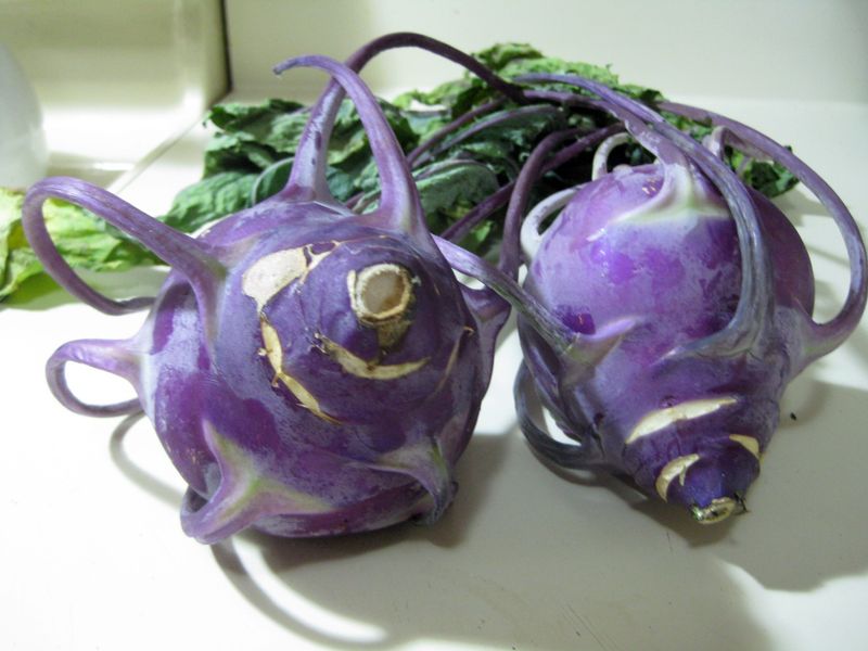 Kohlrabi