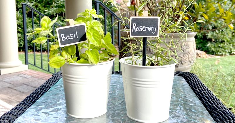 Label Your Plants