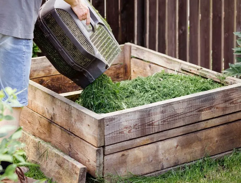 Lasagna Gardening