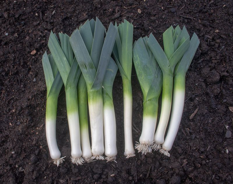 Leeks