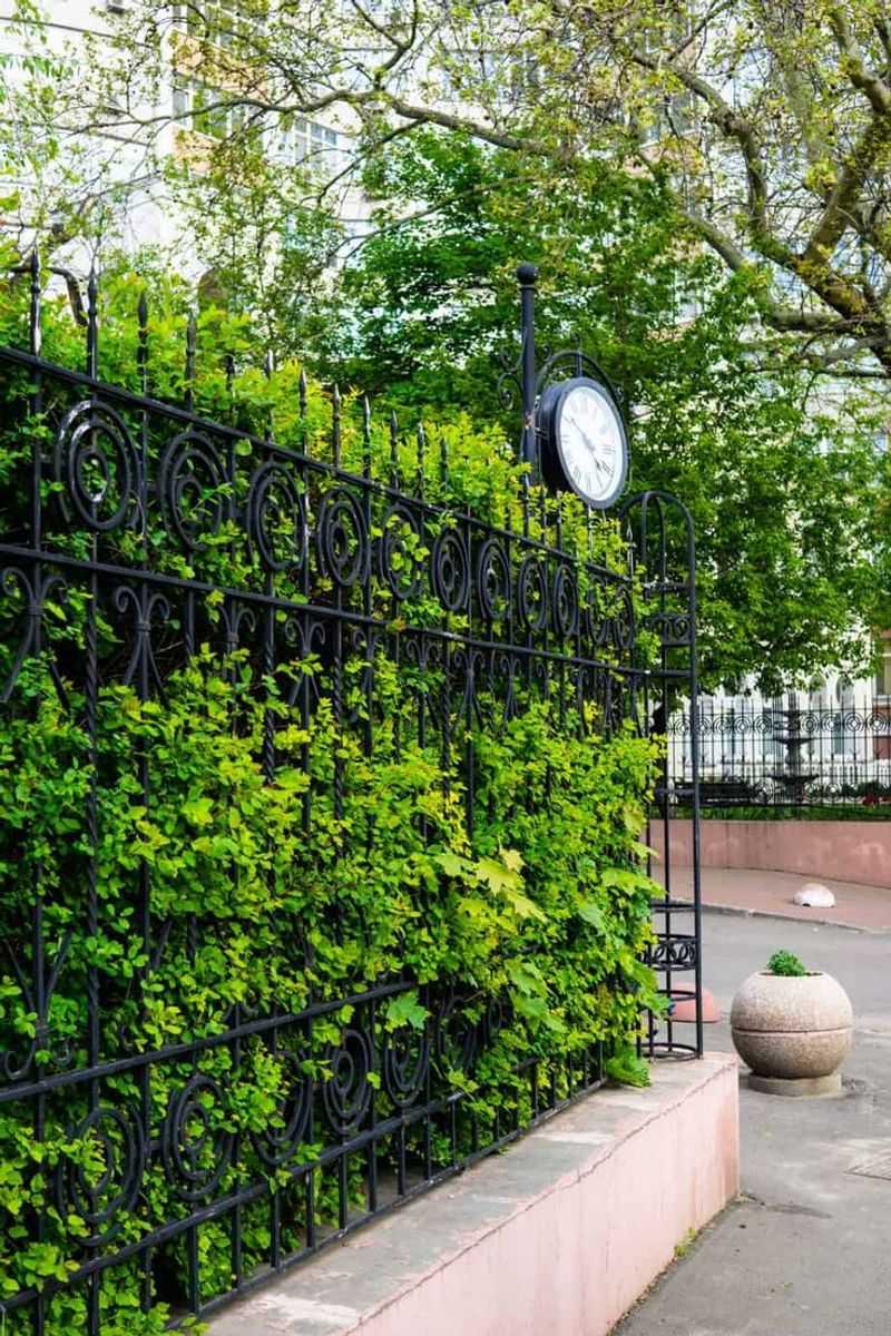 Living Wall Fence