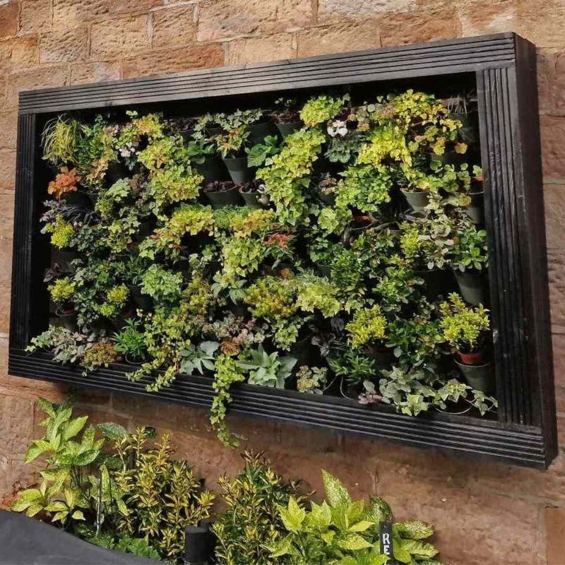 Living Wall Frame