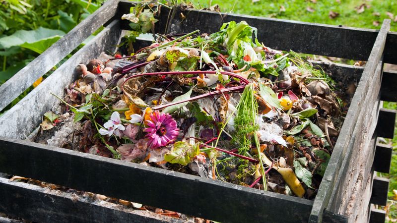 Maintain a Compost Pile