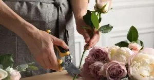 Make Your Cut Flowers Last Longer With These Must-Know Tricks v2