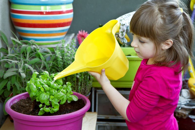 Mini Herb Garden