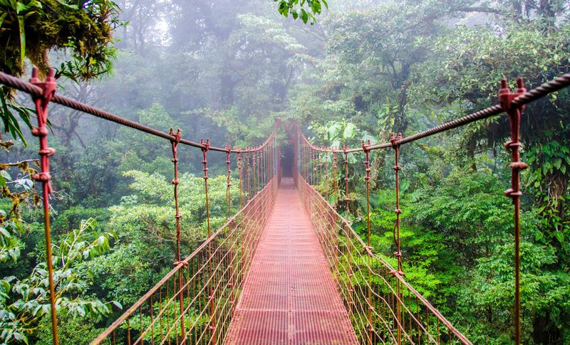 Monteverde Cloud Forest, Costa Rica