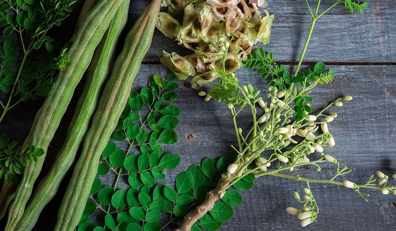 Moringa