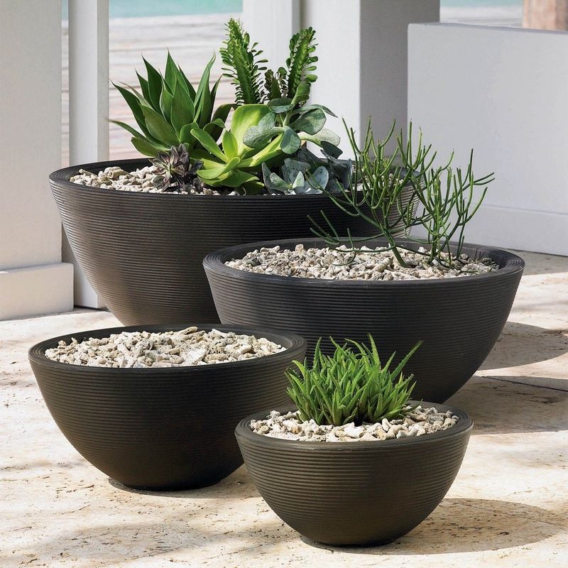 Myth 15: Bigger Pots Mean Bigger Plants