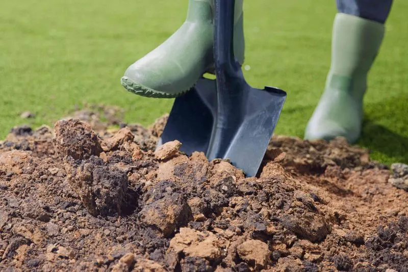 Myth 4: Adding Sand to Clay Soil Improves Drainage