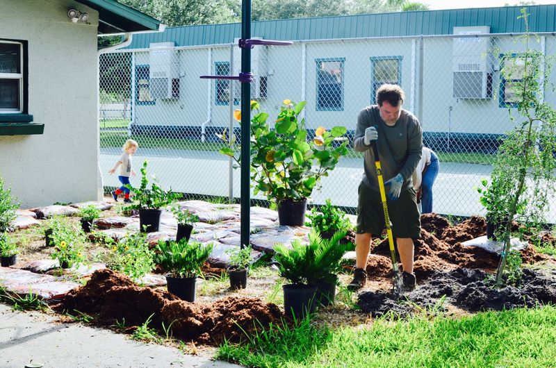 Native Plant Selection