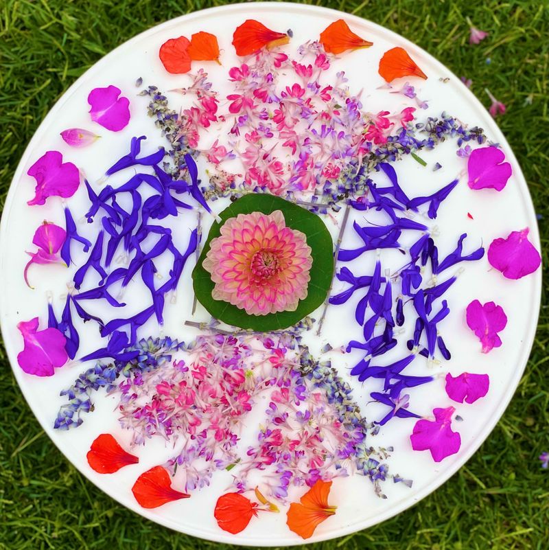 Nature Mandalas