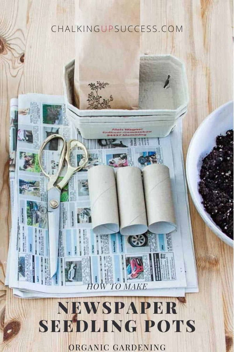 Newspaper Seedling Wraps