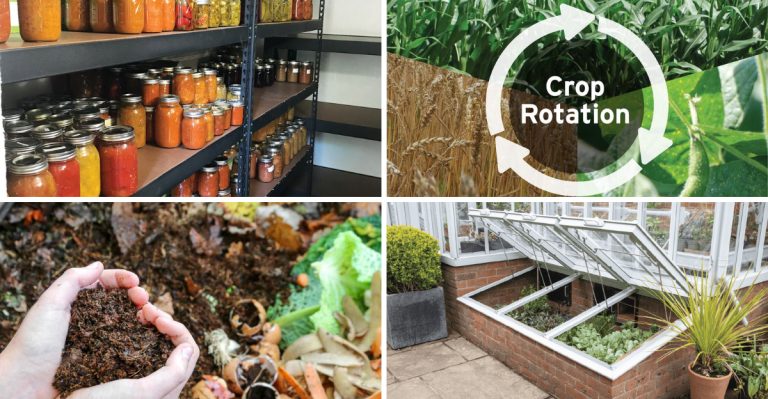 20 Old-School Gardening Secrets That Modern Gardeners Should Know