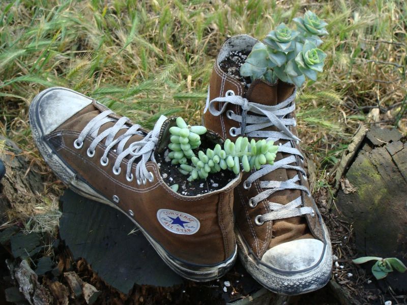 Old Shoe Planters