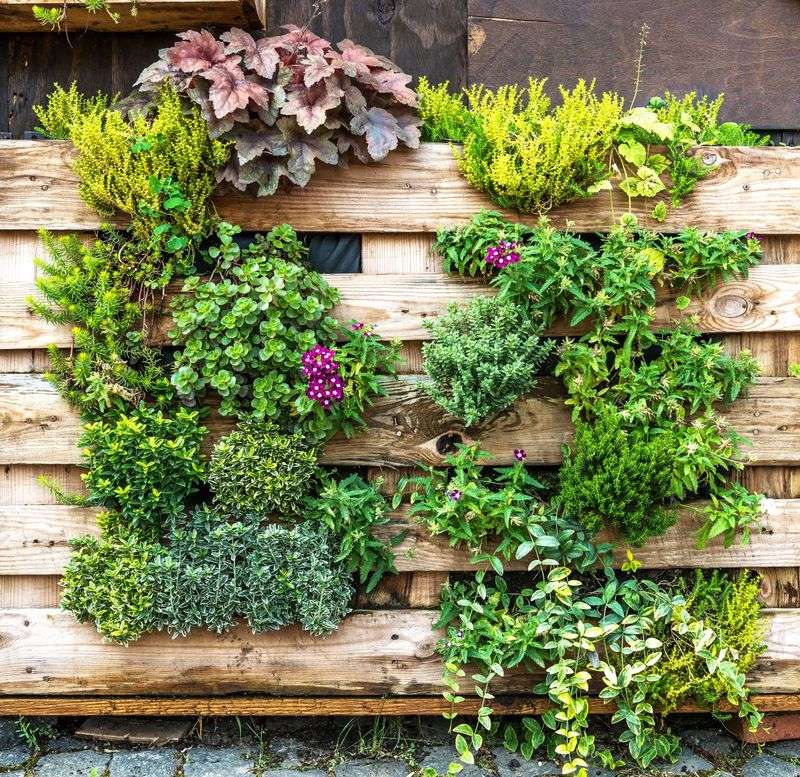 Pallet Vertical Garden