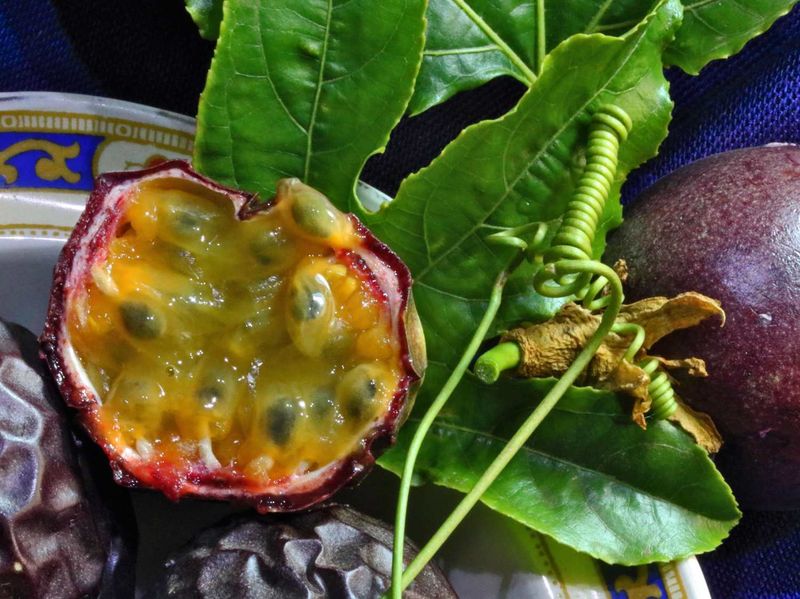 Passion Fruit