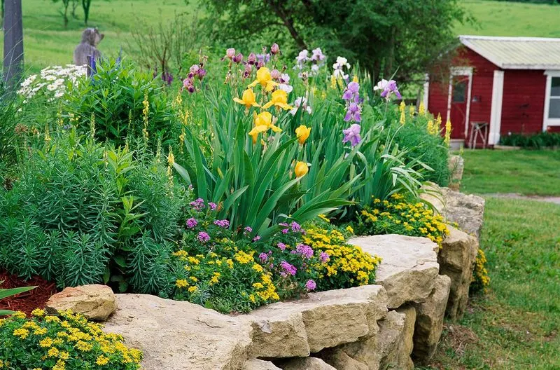 Perennial Planting