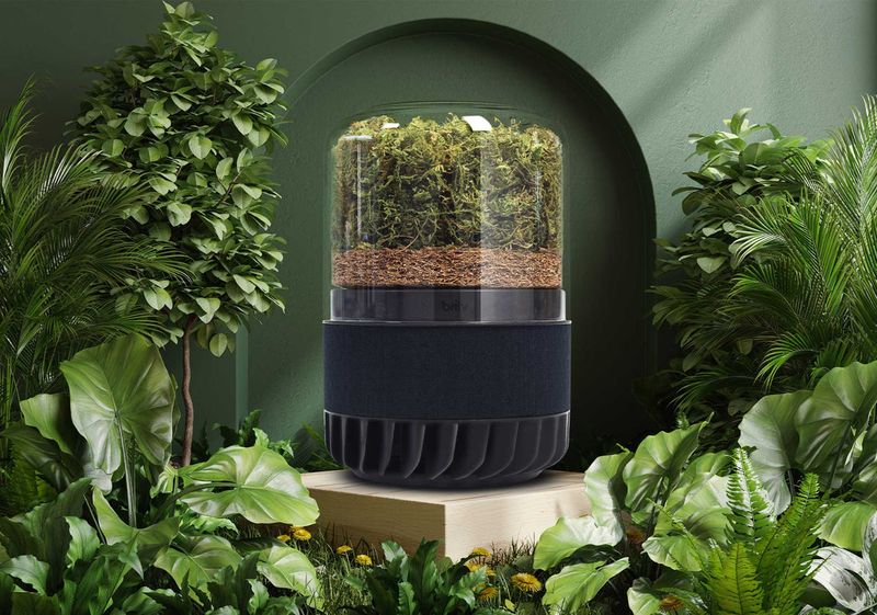 Plant-Based Air Purifiers