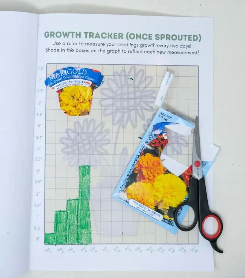 Plant Growth Chart